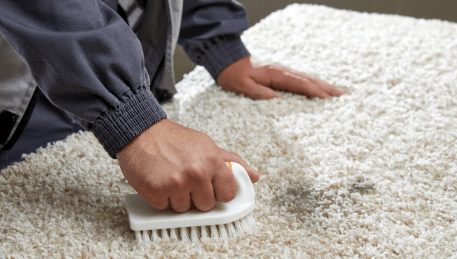Professional Rug Cleaning Coldstream
